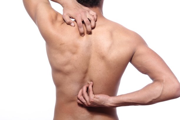 漂亮的男人的身体图片下载