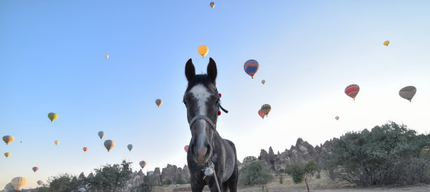 美丽的马国家卡帕多西亚图片下载