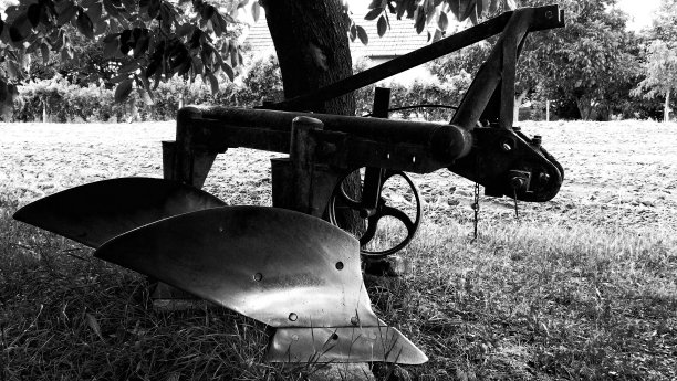 旧钢犁(或犁)在乡村设置下的核桃树反射图片下载