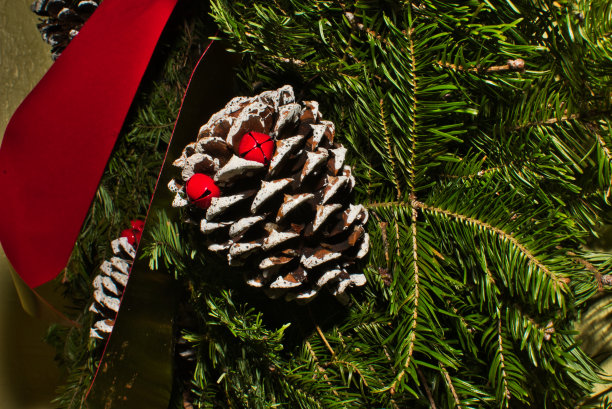 带红丝带和铃铛的松果图片下载