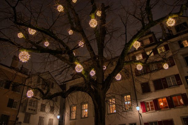 在冬天，老房子前面的树上挂着灯图片下载