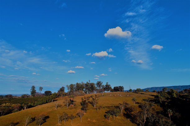 鸟瞰图的农村，农村，田野，农场，和农业景象图片下载