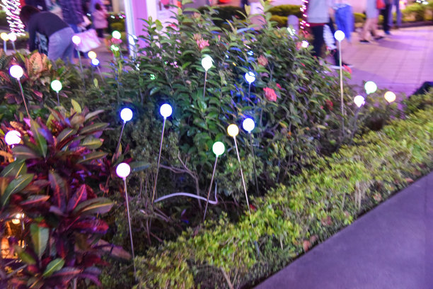 2018年12月8日:巨大的圣诞树在台北市政厅前，圣诞假期的软焦点，台湾台北图片下载