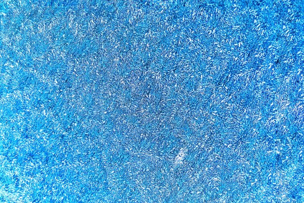 冰晶的宏观纹理。霜。图片下载