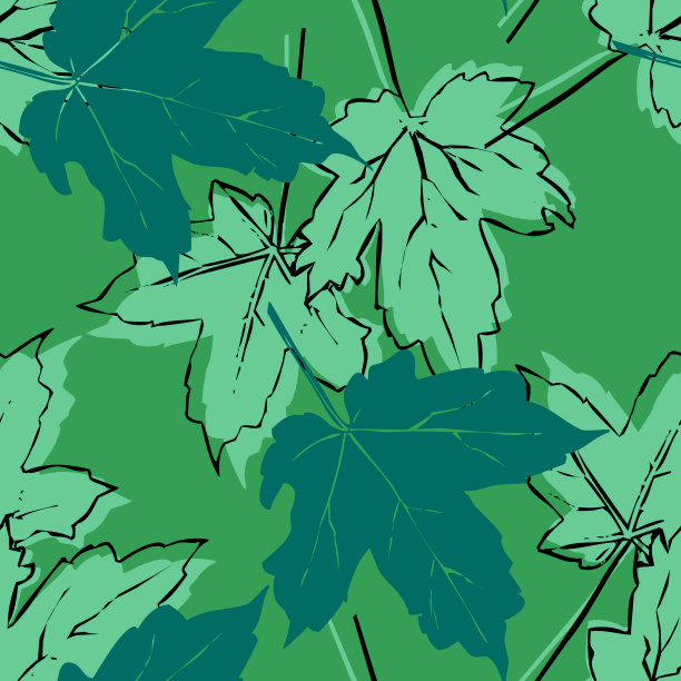 秋天的落叶模式。图片下载