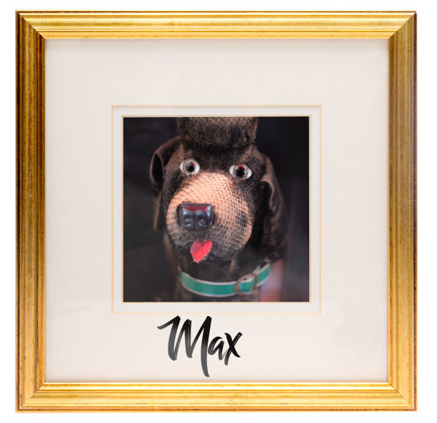 金色框架和最喜欢的非常破旧的老式毛绒狗马克斯图片下载