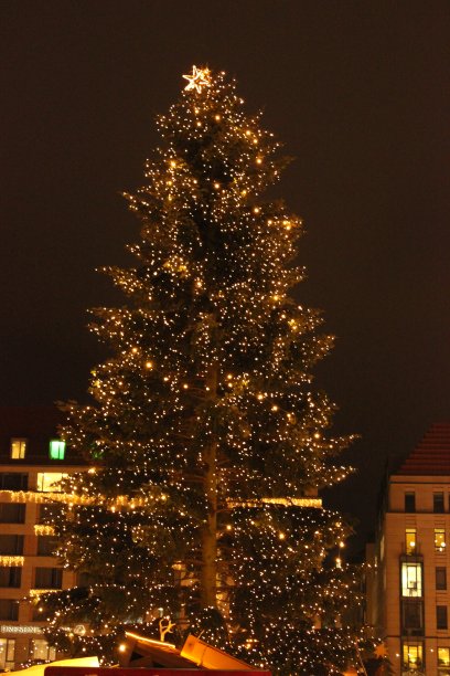 德累斯顿的圣诞夜市图片下载