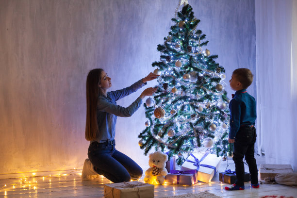 母亲和儿子在圣诞晚餐加兰灯新年礼物素材图片