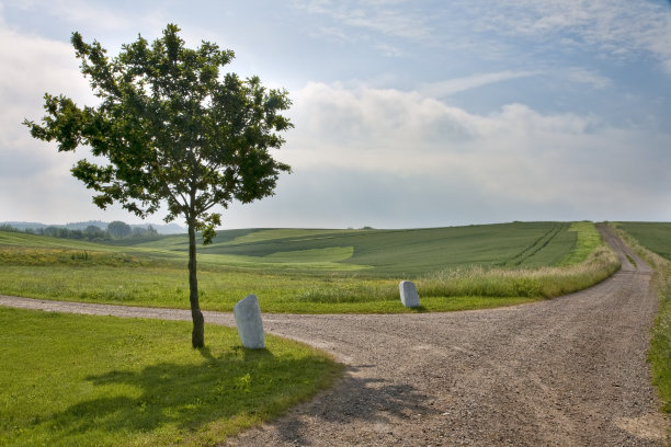 田野里的土路图片下载