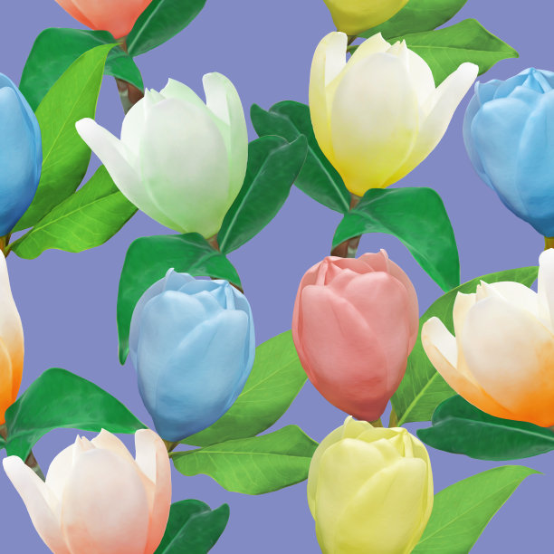 木兰。花型纹理无缝。花背景，照片拼贴图片下载