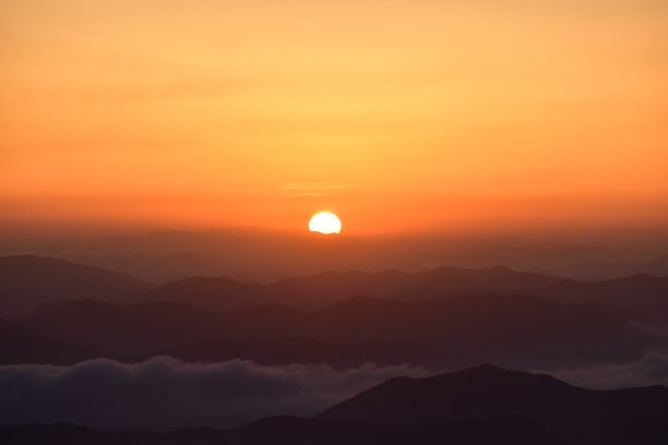 生命之名图片下载