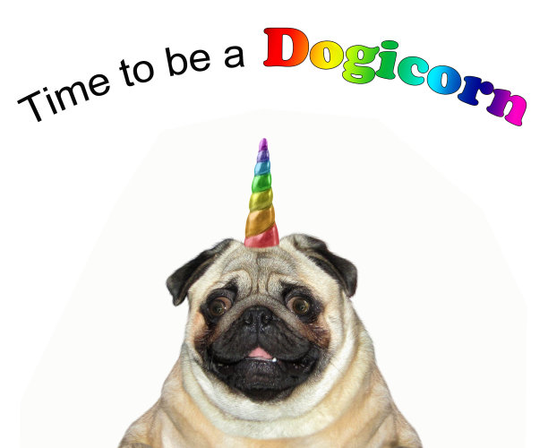 狗独角兽和铭文图片下载