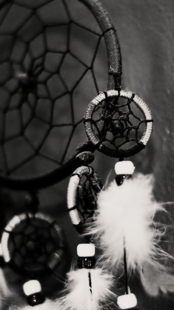 追梦人图片下载