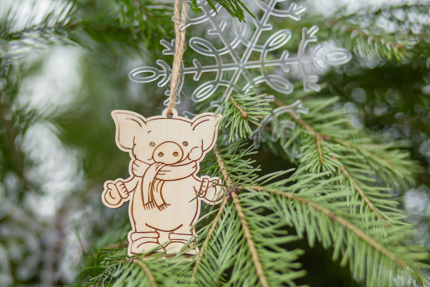 圣诞树玩具在绿色的云杉树枝上。根据中国的生肖，这个猪形木制玩具是2019年的生肖。中国的生肖将于2019年2月5日开始。图片下载