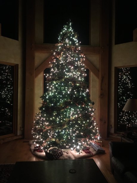 圣诞树、灯和反射图片下载