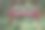 不会留下任何痕迹图片下载