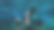 浮潜图片下载