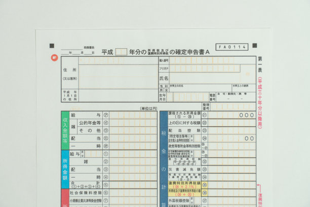 纳税申报表图片下载