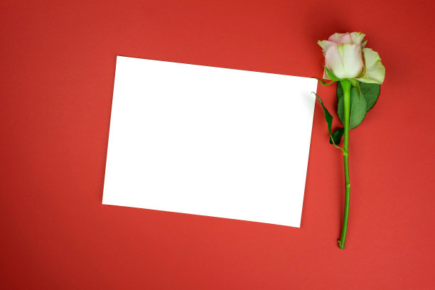 纸和玫瑰。图片下载