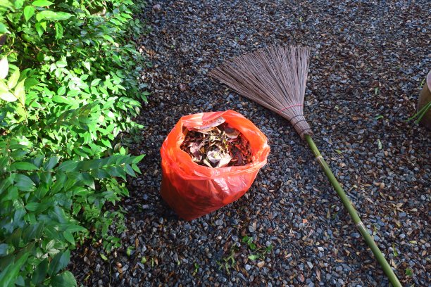 干树叶在橙色的袋子和扫帚在后院沿着运河图片下载