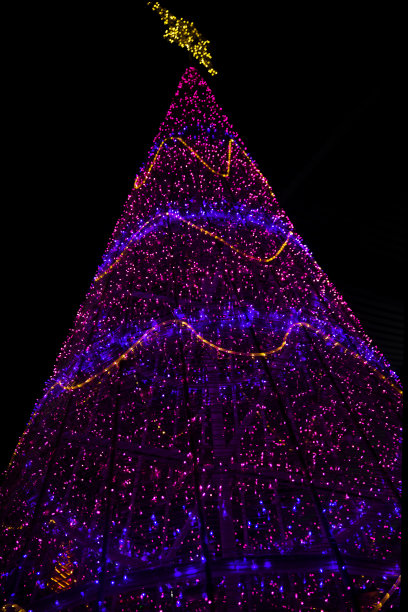 彩灯在圣诞树上模糊的运动。图片下载