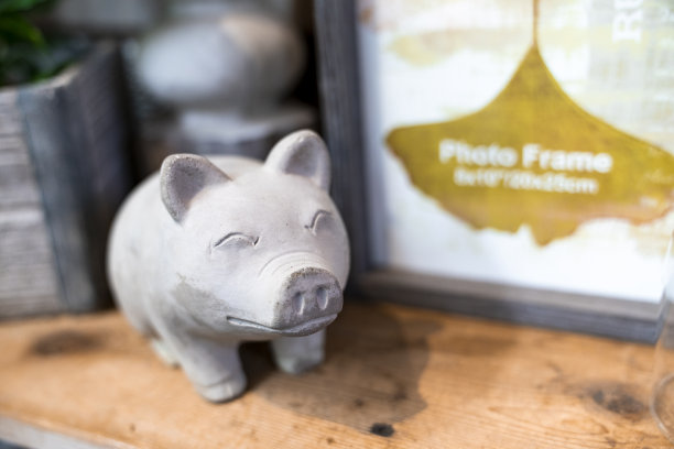 石头小猪点缀图片下载