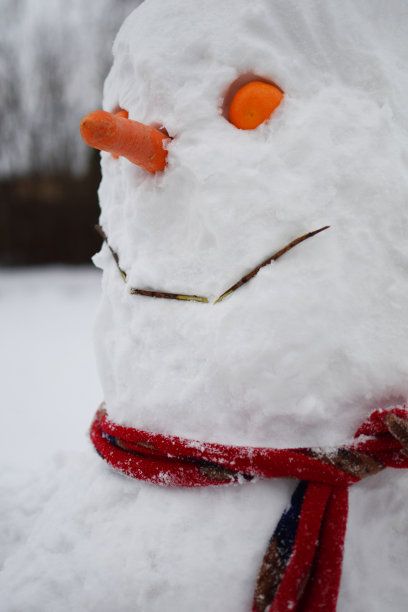 雪人笑脸的特写图片下载