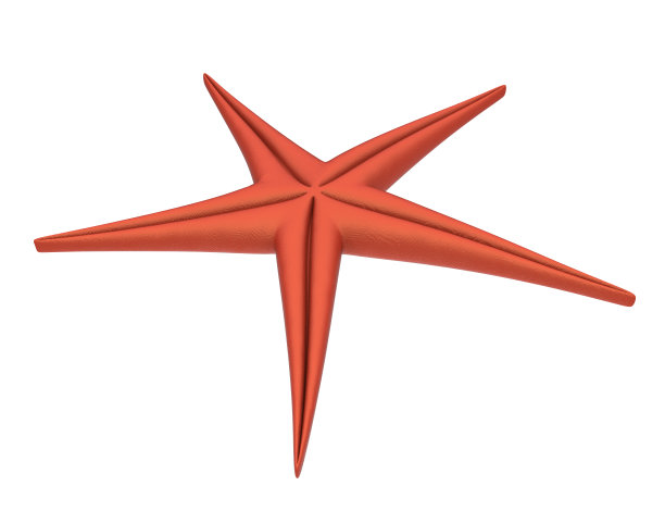 海星孤立图片下载