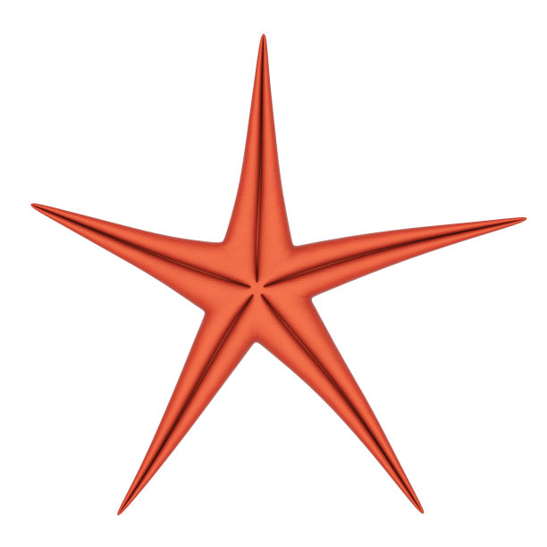 海星孤立图片下载