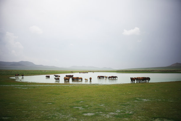 蒙古大草原图片下载