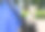 小狗坐在婴儿车里图片下载