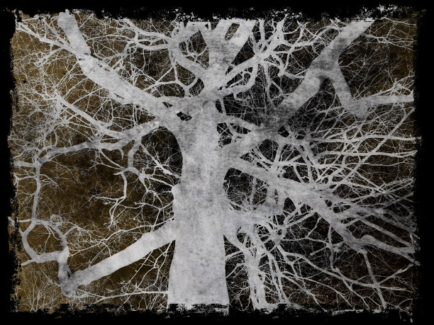 Calderstones公园树艺术品图片下载