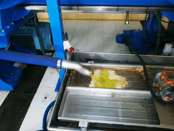 特级初榨橄榄油图片下载