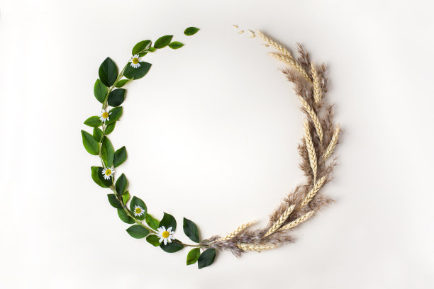 夏秋交替的季节概念。俯视图图片下载