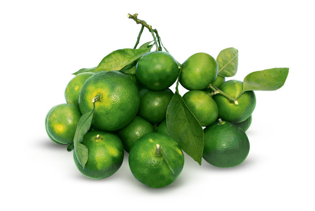 鲜绿柑橘。图片下载