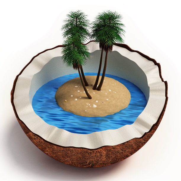 热带岛屿，棕榈树和蓝色的海洋里面的一半椰子图片下载