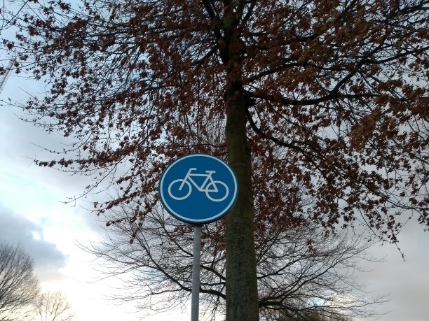 冬季树天际线和自行车道金属标志图片下载