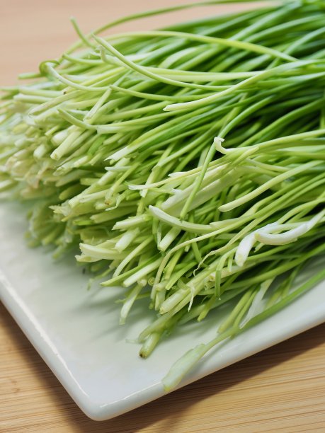 韩国新鲜蔬菜韭菜图片下载