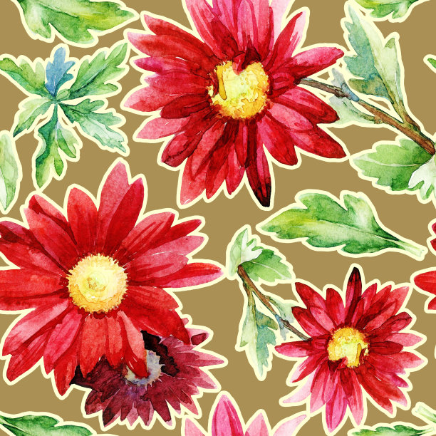 水彩无缝图案的菊花。图片下载