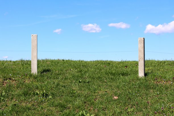 两根混凝土杆子用单线连接在小山顶上，周围是未修剪的绿草和小花图片下载