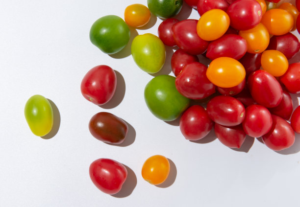 很多五颜六色的小番茄图片下载