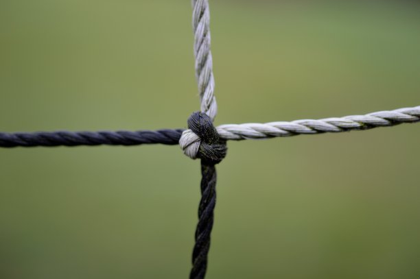 黑白结图片下载