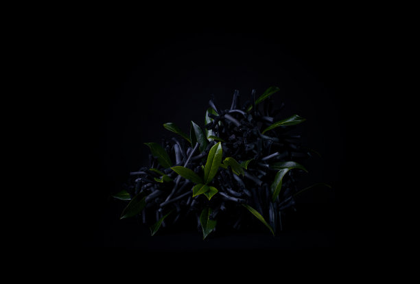 黑对黑的新生活理念图片下载