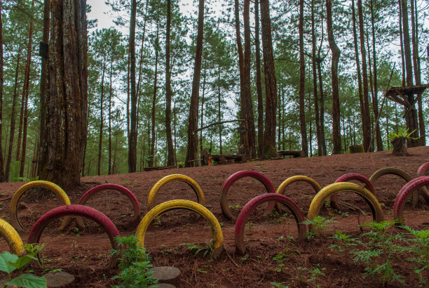 公园里的人行道用旧轮胎装饰图片下载