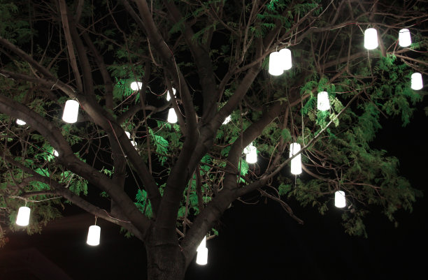 树的彩灯图片下载