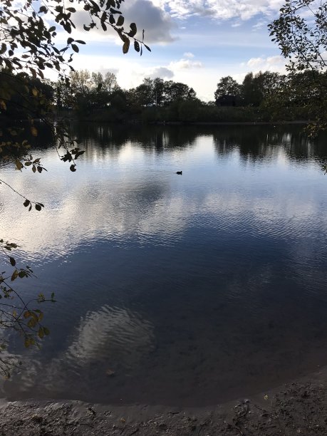 冬天的奇观图片下载