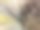 彩色干燥的稻穗，小麦和草图片下载
