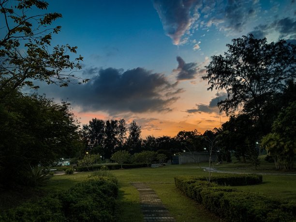 植物园图片下载