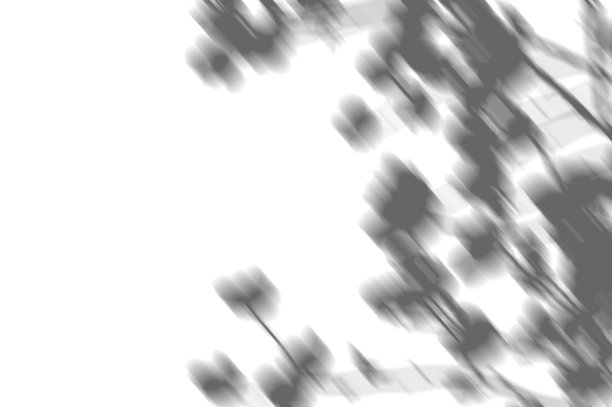 抽象背景的影子树枝树叶在白色的墙壁上。白色和黑色的叠加照片或模型图片下载