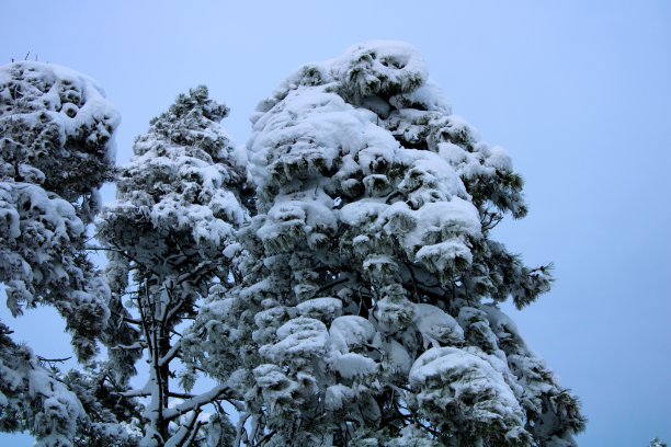 冬天的场景图片下载
